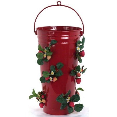 NEXT2NATURE Enameled Galvanized Strawberry & Flower Planter, Red NE2588666